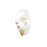 Aretes Palm Set