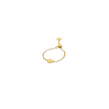 Anillo Alba Galaxy