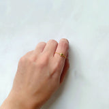 Anillo Alba Galaxy