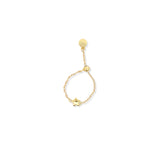 Anillo Alba Galaxy