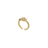 Anillo Anastasia