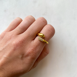 Anillo Biyu
