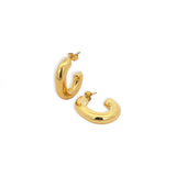 Aretes Arracadas Leo