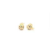 Aretes Catarina