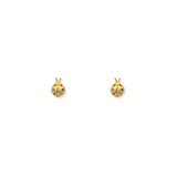Aretes Catarina