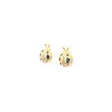 Aretes Catarina