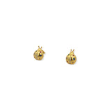 Aretes Catarina