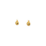 Aretes Catarina
