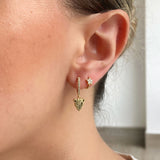 Aretes Panther Black