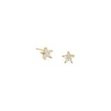 Aretes Star Studs