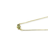 Collar Agosto