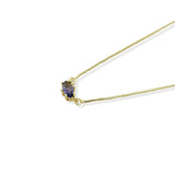 Collar Febrero