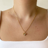 Collar Honey Bee
