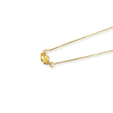 Collar Noviembre