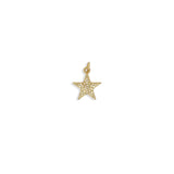 Dije Shiny Star