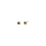 Aretes Febrero