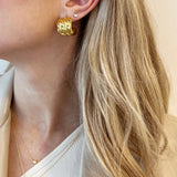 Aretes Lula