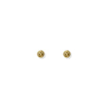 Aretes Noviembre